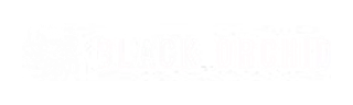 Logo de Black Orchid Solar